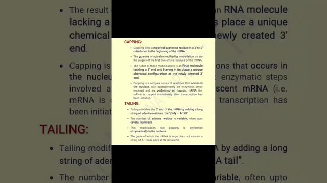 mRNA Processing 1.... смотреть онлайн