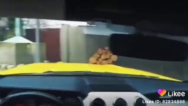Клип паша пэл смотреть онлайн