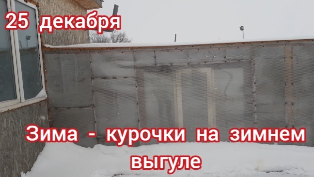 Первый месяц зимы. Курочки на зимнем выгуле и в курятнике.... смотреть онлайн
