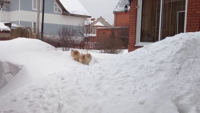 зима смотреть онлайн