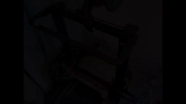 video5433604138812336355