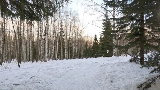 GX010196 смотреть онлайн