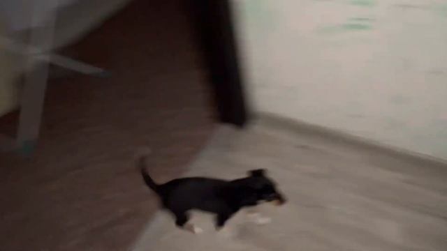 Первое видео в плейлисте «Путь развития человеческого потенциала» смотреть онлайн