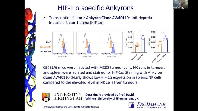 Charlotte Thompson: Ankyrons: The future of target-binding reagents beyond antibodies смотреть онлайн