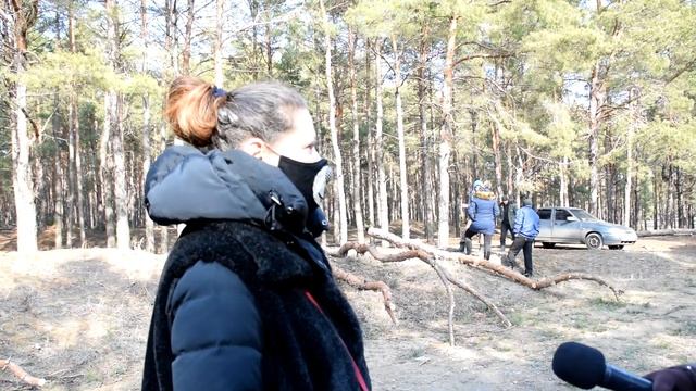 ПН TV: Комментарии местных жителей Матвеевки и директора "Лесхоза" относительно вырубки леса смотреть онлайн