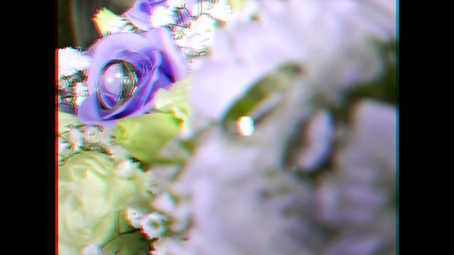 Отрывки свадебных фильмов в 3 D смотреть онлайн