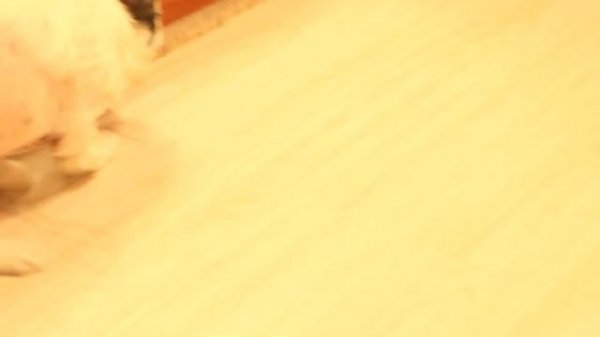 Маленькая бяка!