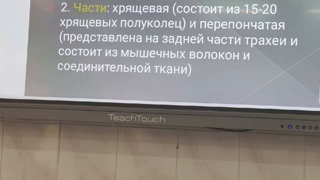 Анатомия. Дыхательная 1 смотреть онлайн