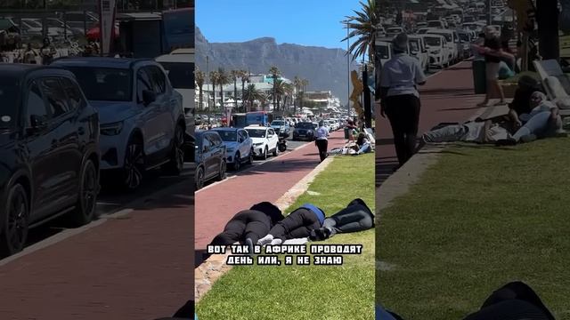 Как выглядит весь пляжный колорит Южной Африки. #юар #пляж #африка #путешествия смотреть онлайн