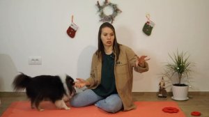 Учим собаку приносить игрушку в руку. Трюк неси. Команда принеси в руку