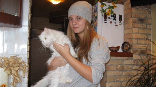 Кошки смотреть онлайн