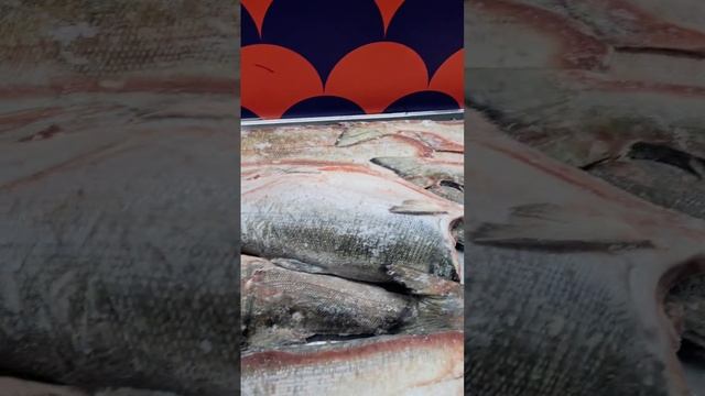 Рыба моя Оптовый канал