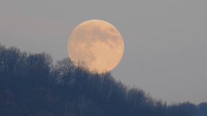 Полнолуние