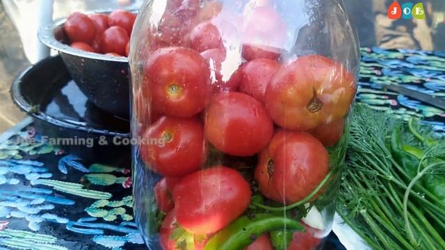 തണുപ്പുകാലത്തേക്കു തക്കാളി ഉപ്പിലിട്ടുവെക്കുന്നത് How to Make Pickled Tomatoes || Pickled Tomatoes🍅 смотреть онлайн