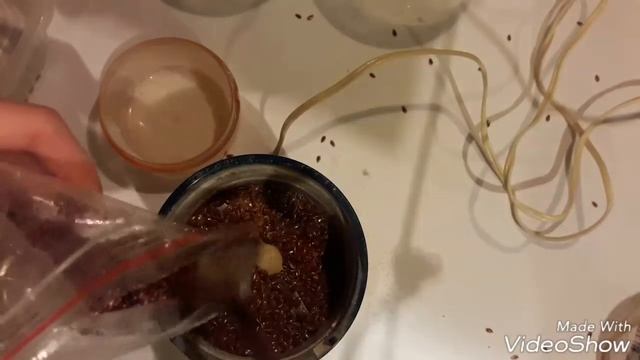 🐌Как я делаю подкормки для улиток🐌 смотреть онлайн