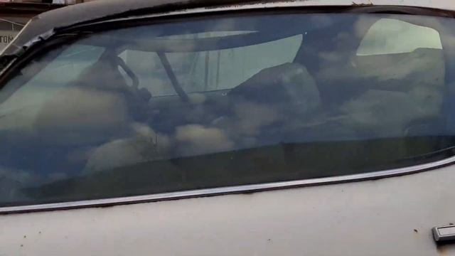 Я нашёл редкий Шевроле Камаро смотреть онлайн