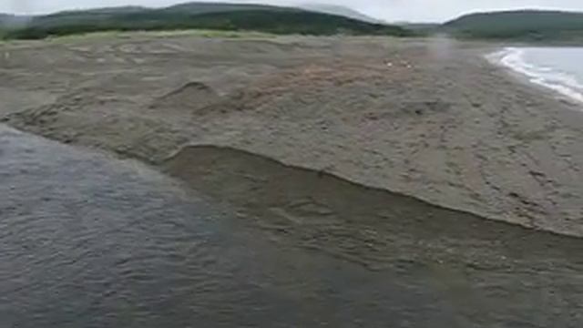 Злые дяденьки не пропускают лосося на нерест... смотреть онлайн