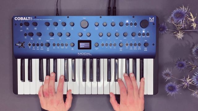 Modal Cobalt 8 Sound Demo (no talking) смотреть онлайн