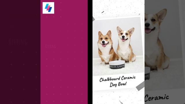 Chalkboard Ceramic Dog Bowl смотреть онлайн