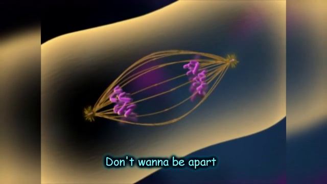 "Mitosis Rhapsody" | Biosong | Mitosis and Cell Cycle Song смотреть онлайн