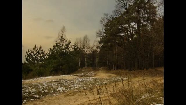 Релакс в пяти километрах от МКАД (часть2) смотреть онлайн