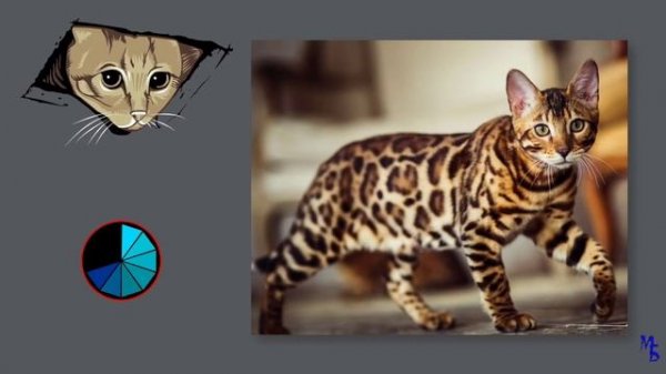 Угадай породу кошки. Викторина о породах кошек. Что это за порода кошки?