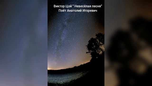 Поёт очень красиво песню Виктора Цоя '' Невесёлая Песня '' | Да у парня просто талант!!! | Цой жив! смотреть онлайн