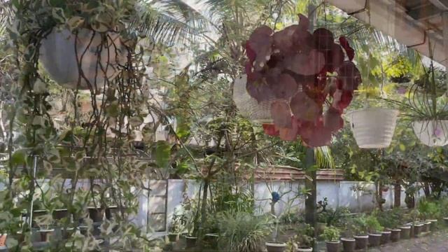 FLORA'22- INDOOR COLLECTIONS BY SHAREENA RASHEED, VYPIN смотреть онлайн