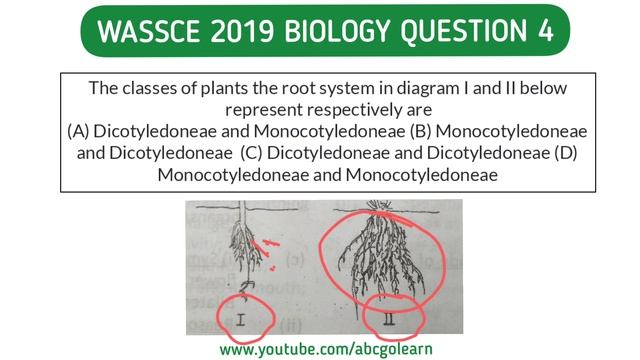 WASSCE 2024 BIOLOGY REVISION: WAEC BIOLOGY PAST QUESTIONS & ANSWERS смотреть онлайн