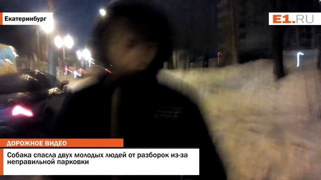 Собака спасла двух молодых людей от разборок из-за неправильной парковки смотреть онлайн