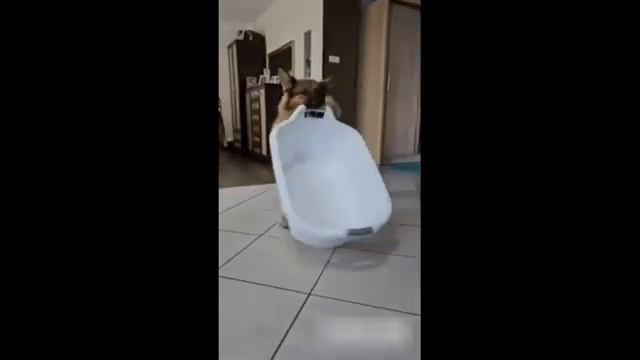 сборник приколов часть 8 смотреть онлайн