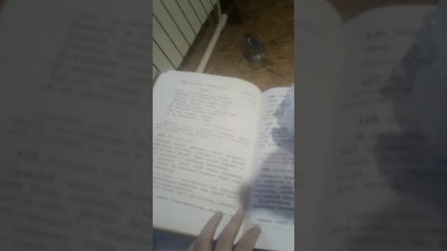 Песня из ай мон но смотреть онлайн