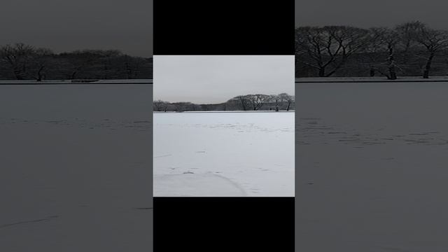 юго-восточный терлецкий пруд.mp4