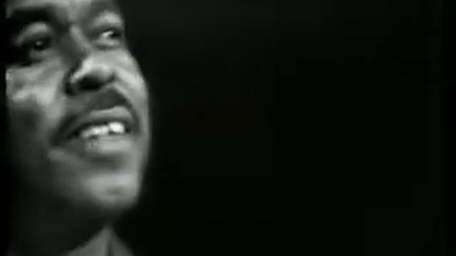 T-Bone Walker, Brownie McGhee,Sonny Terry,Willie Dixon смотреть онлайн