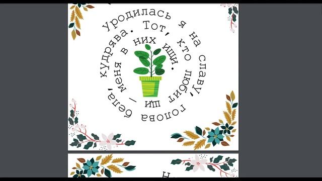 Спиральки для скорочтения. Автор: Елена Вахитова смотреть онлайн