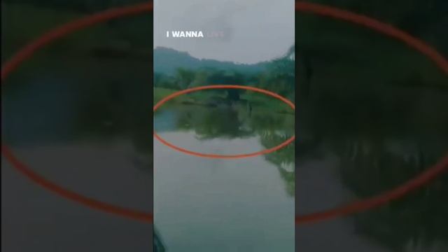 titanoboa snake 🐍 caught on camera 😱 смотреть онлайн