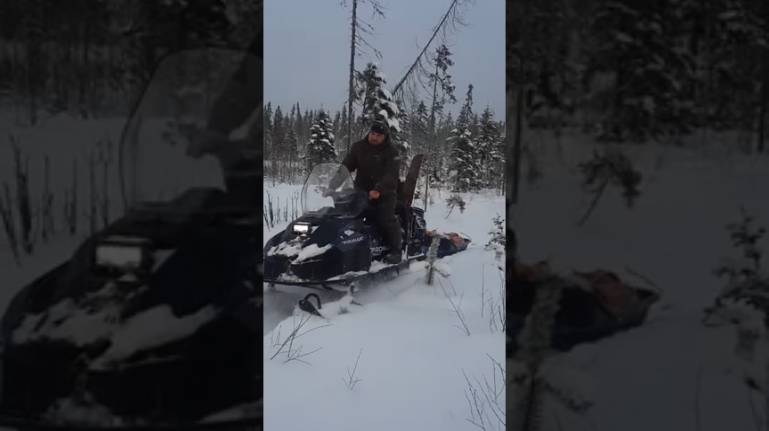 PROMAX ЯКУТ. Вывозим тушу лося. смотреть онлайн