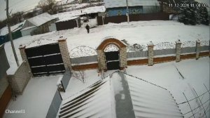 мотособака взбесилась