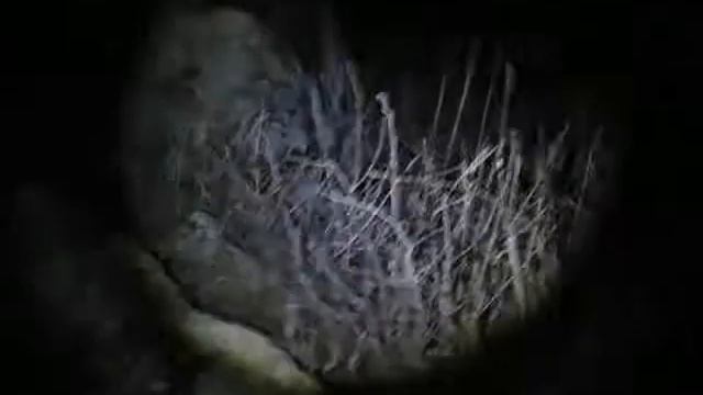 Налобный светодиодный фонарь HL 18-1-3 Flood-to-Throw Cree Q3 смотреть онлайн