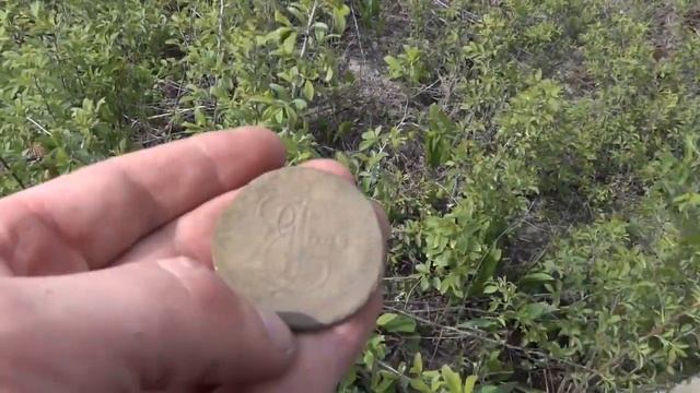 Поиск золота.58серия.Поля и леса.Катькин пятак.Поиск с камрадами