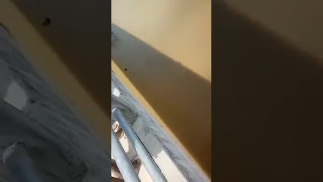 Pêndulo na Ponte sobre o Rio Matapi - Amapá - Equipe Spider смотреть онлайн