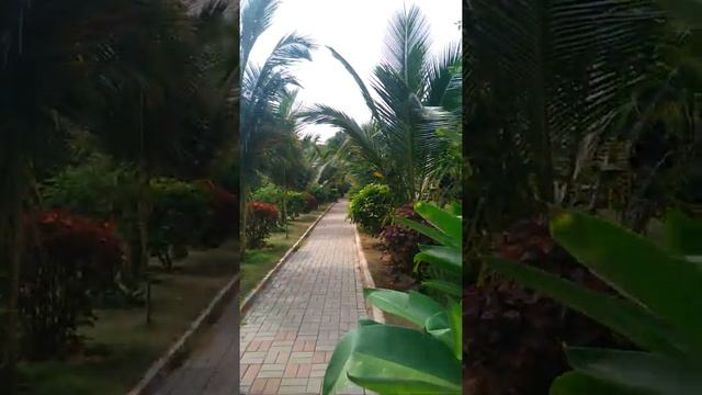 Индия. Ашрам. Аарати. Анжела Великая