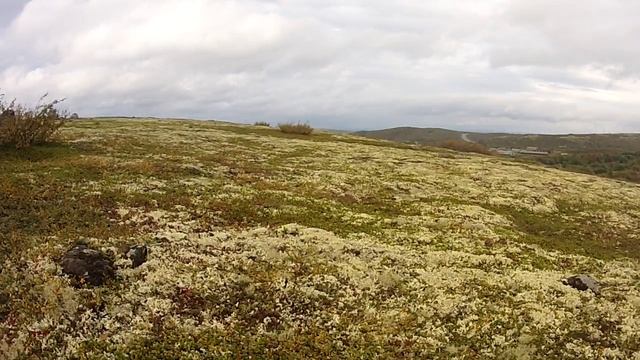 North Bushcraft смотреть онлайн