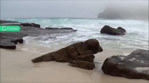 Free Download & Install Adobe Substance 3D Painter | Adobe Substance 3D Painter 2023 | Tutorial