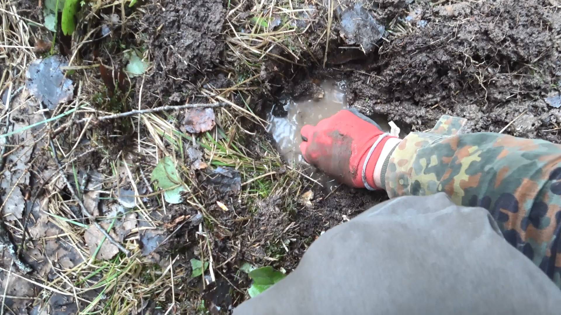 Лесной поиск с металлоискателем. В поисках сокровищ. смотреть онлайн