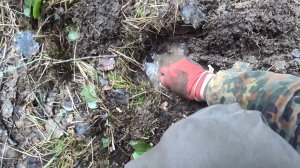 Лесной поиск с металлоискателем. В поисках сокровищ.