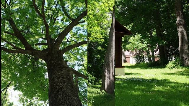 усадьба Спасское-Лутавиново смотреть онлайн