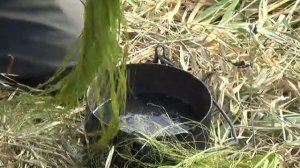 Кудель и пряжа из крапивы