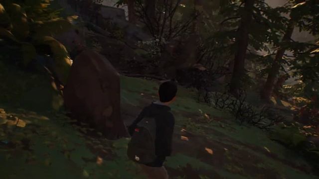 Life is strange 2 прохождение часть 2 смотреть онлайн