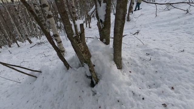 GX010200 смотреть онлайн